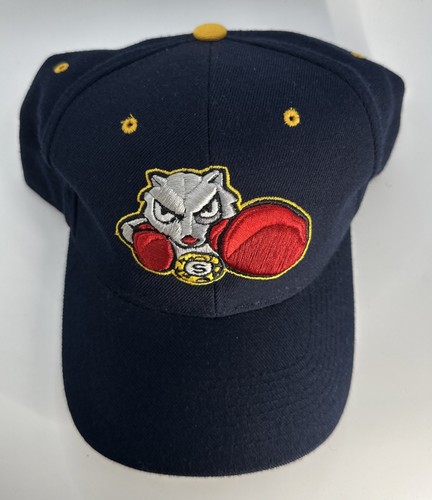 Vintage Bradford Fighting Squirrels Hat Cap Blue 7 5/8 College Sports Baseball - Picture 4 of 7