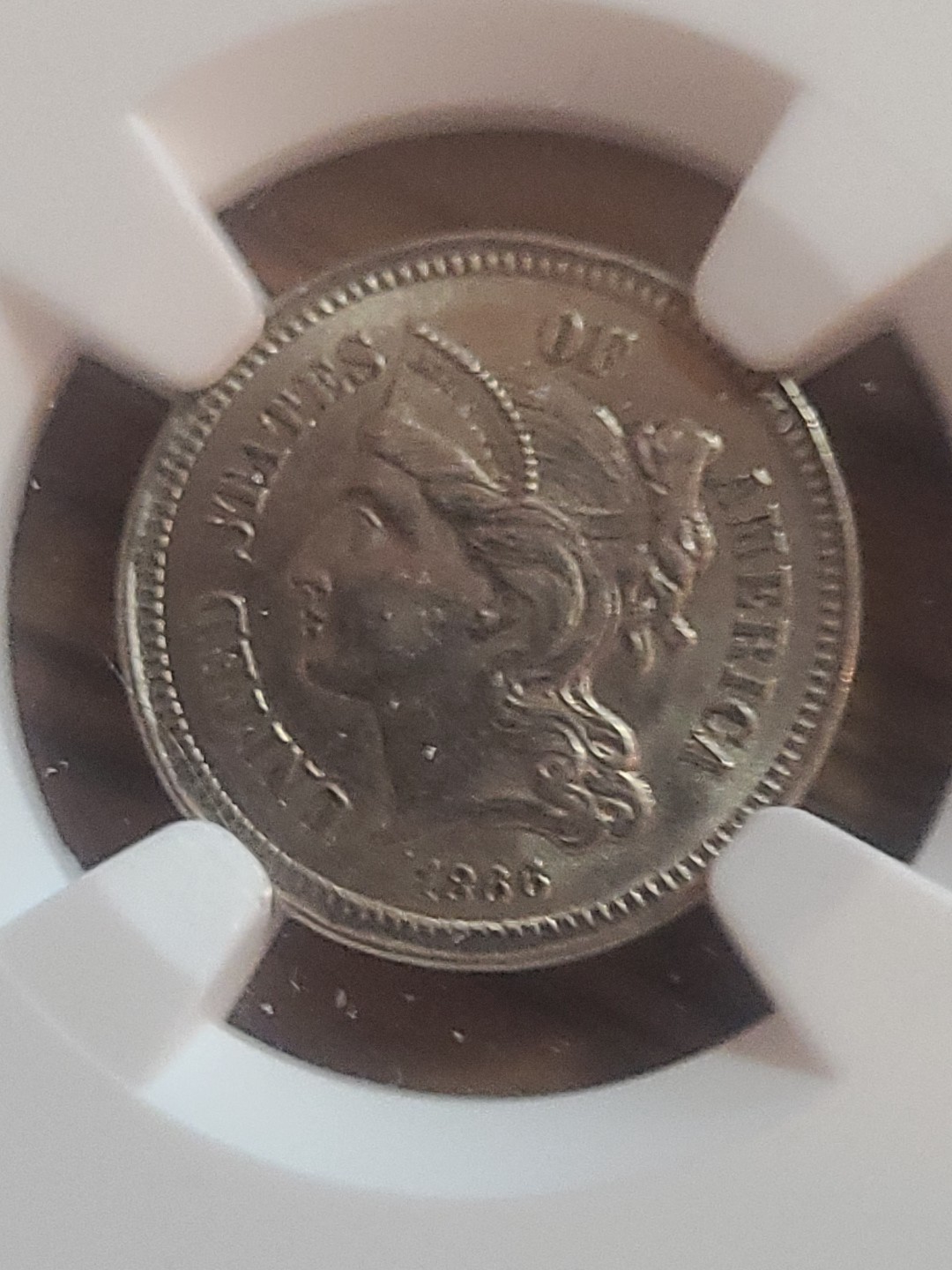 Picture 3 of 14