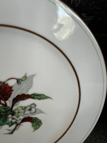 Platos de ensalada Craftsman China hechos en Japón Imperial 168 10" 4 EA adornos de oro de 18K - Imagen 7 de 19