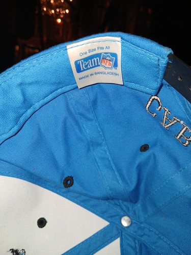 SIGNED Carolina Panthers Vintage 90s Team NFL SnapBack MIKE FOX NO 93 - Picture 6 of 7