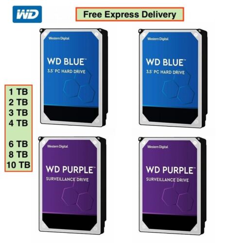 Western Digital 1TB 2TB 4TB 6TB HDD Blue PC Purple Surveillance Hard Drive 3.5'' - Picture 1 of 17