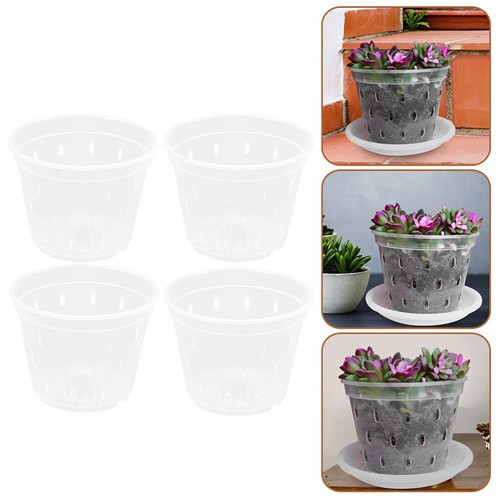 Vaso Sospeso In Legno A Forma Di Conchiglia Di Cocco - Cesto Per Orchidee, Fioriera Da Balcone