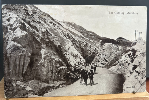 Vintage Postcard Mumbles the Cutting