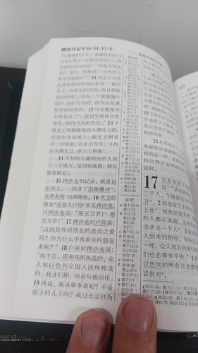 Holy Bible In Chinesse - Picture 10 of 13