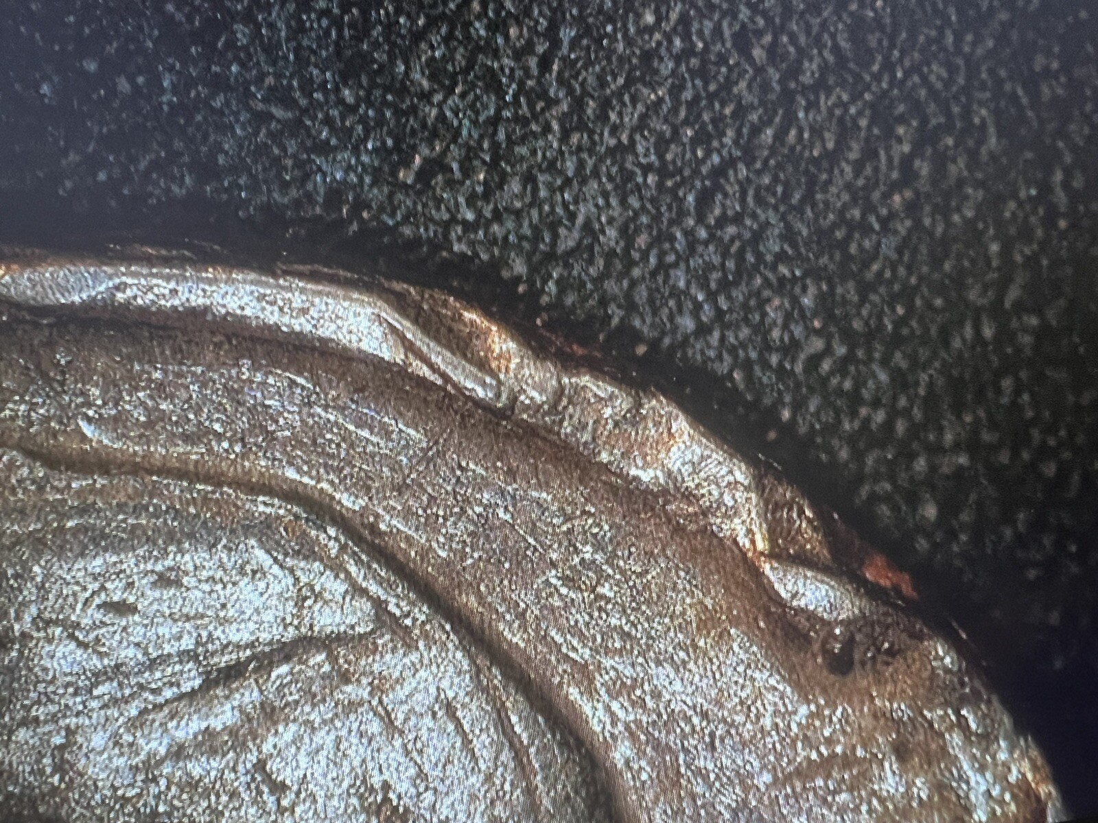 Picture 17 of 19