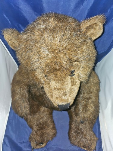 De colección 1999 Discovery Channel Grizzly Bear Realista 31" Jumbo Juguete de Peluche Diente - Imagen 13 de 21