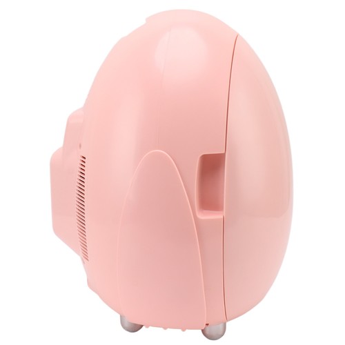 AU (100-240V European Standard) Portable 10L Lipstick Mask Beauty Small Refriger