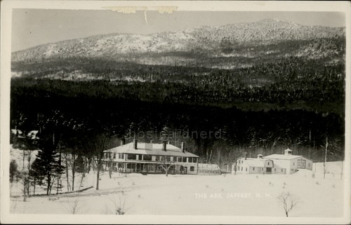 RPPC Jaffrey,NH The Ark Cheshire County New Hampshire Real Photo Postcard - Picture 1 of 5