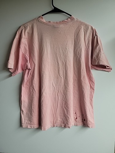Camiseta grande vintage de los años 90 rosa desteñido Charlevoix puntada única arte pez 22x25 - Imagen 8 de 10