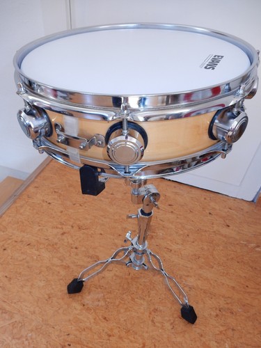DIXON 13" x 3" MAPLE SNARE DRUM , NEUES EVANS FELL "POWER CENTER REVERSE DOT " - Bild 2 von 12
