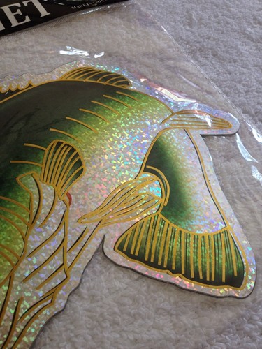 Auto ~ Camion ~ Auto ~ Calamita (Pesce 7,5" x 6") - Foto 2 di 2