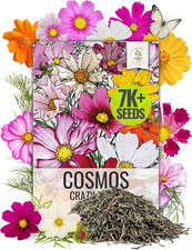 Seed Needs Wildflower Seeds Cosmos Crazy Blend 1.5 Ounce No Filler | 10+ Varieti 156.80 per gallon