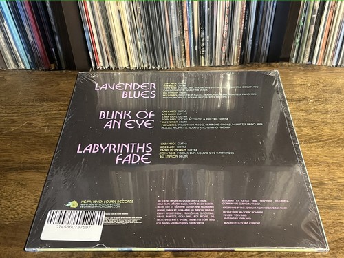 Big Scenic Nowhere - Lavender Blues (LP, EP, Ltd, Gre) (Near Mint (NM or M-)) - - Picture 2 of 6