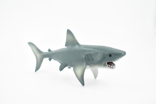 Megalodon, Big Tooth Shark, Realistic Toy Figure, Model 8" CH398 BB151 - Picture 8 of 8