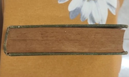Bibbia, Il Nuovo Testamento in greco 1952 'Tempela' "ZΩΗ" - Foto 8 di 9