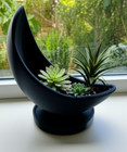 Half-Moon Planter with Drain Tray – Indoor Pot for Succulents