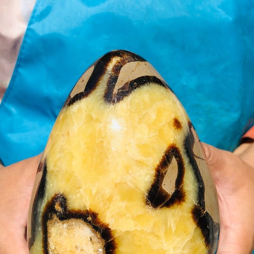 4.4LB Natural Turtle Back Stone Egg Shape Dragon Crystal Crack healing - Picture 15 of 18