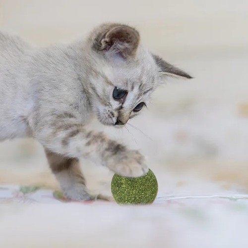 Catnip Balls For Cats Kitty Toys For Cats To Lick Chew Toys Teeth Cleaning Toy - Picture 6 of 7