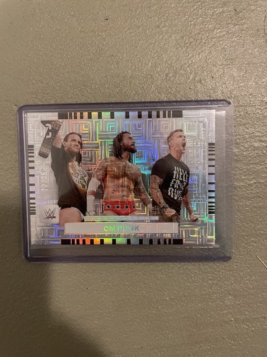 2024 Panini Photogenic WWE Cm Punk #12 Progressions Maze /25 Best In The World