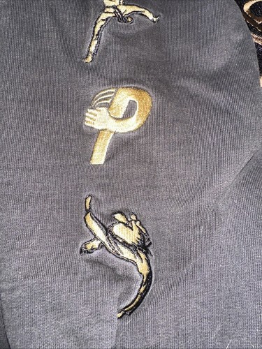 PALACE SKATEBOARDS AMG 2.0 HOODIE BLACK With Large Emblem Down The Sleeves, - Picture 6 of 17