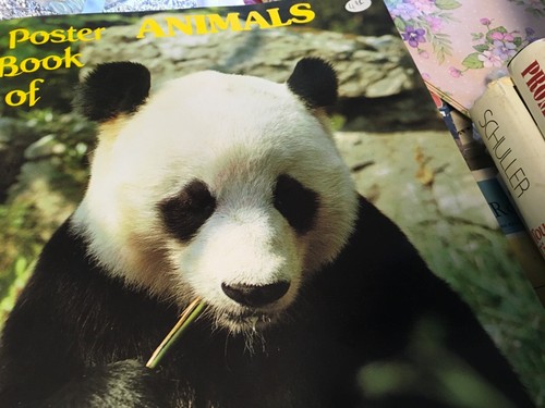 24 carteles libro de animales color brillante pingüino panda jaguar tigre 10""x14"" 1982 - Imagen 2 de 6