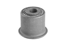 TEDGUM TED97369 Querlenkerlager Hinten für DODGE RAM 1500 3.7 4.7 5.7 10.08-