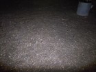 Bild 11 von 11