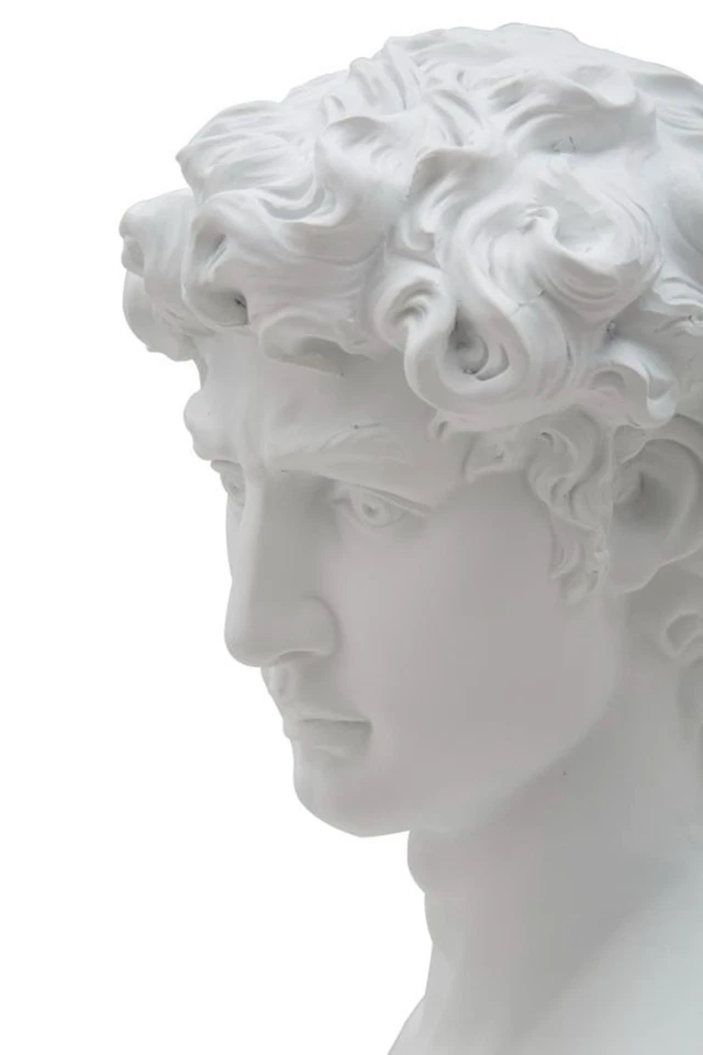 Figura Clásico Busto de Hombre Réplica David Von Michelangelo Estatua Blanco H - Imagen 4 de 4