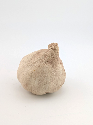 Mary Kirk Kelly Knoblauch realistisch handbemalt Kunst Obst Gemüse SIGNIERT - Bild 3 von 11