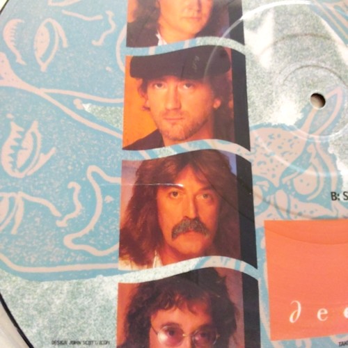 Deep Purple Call of the Wild Picture Disc Vinyl 1987 Polydor Rock - Picture 8 of 18