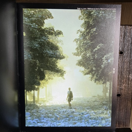 Endure – Renewal from Ground Zero – Rockefeller Foundation – 1st Edition 2001 - Imagen 3 de 10