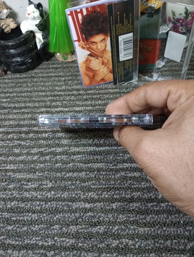 PRINCE AND THE N.P.G Love Symbol (Cassette Tape) - New Power Generation - Imagen 13 de 15