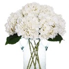 6pcs Fake White Flowers Artificial Silk Hydrangea Flowers Bouquets Faux Hydra...