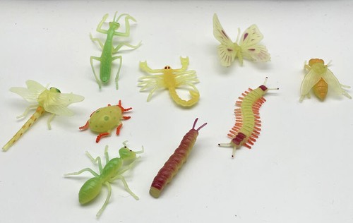 Insects - Glow in the Dark - Picture 10 of 20