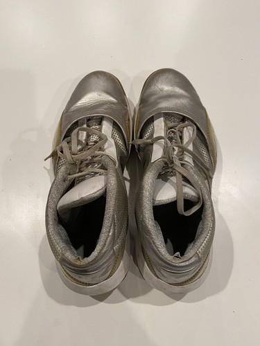 Nike Air Jordans 2010 25TH Anniversary Shoes Size 12 387358-006 SILVER COOL GREY - Picture 9 of 9