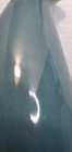 Bild 12 von 20