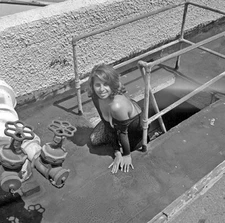 Vintage UNIDENTIFIED MODEL Original B&W 120 Film Negative