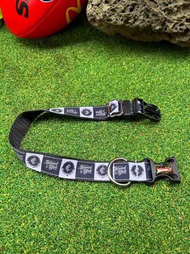 CARLTON BLUES AFL Football Dog Collar, Lead, Doggy 'dana, Harness FUNKY FIDO - Picture 22 of 47