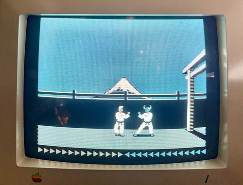 Gry Apple II na dyskietkach: oprogramowanie retro / vintage 🍎➕🍏 - Zdjęcie 9 z 13