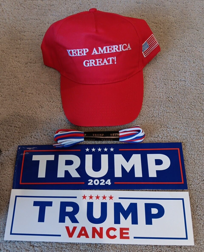 Donald Trump 45 T-Red Wave Shoes Sneakers New in box Size M11/W12.5 US Flag - Picture 7 of 21