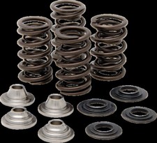 KIBBLEWHITE 40-40660 SPRING KIT KX450F 09-13