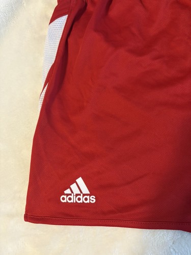 Wisconsin Badgers UW 2014 Adidas Men's Large Red Lined Running Shorts NWT - Picture 5 of 10