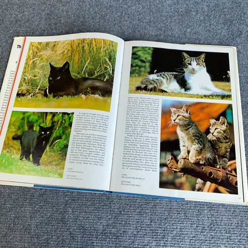 The Wondrous World of Cats Dogs David Gibson 1976 RARE Hardcover Picture Books - Bild 16 von 17