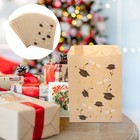 10 Pcs Graduation Party Favors Bags Cookie for Packaging Candy Holder