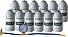 R600a, R600 in 6oz. Cans, Small AC Systems, Charging Kit for R600a (12 Cans)