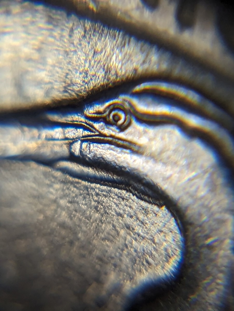 2015-D Doubled Die Reverse Bombay Hook Washington Quarter | eBay
