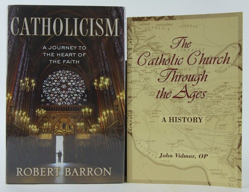 Six Important Books about the Catholic Church - Kelly, Barron, Weigel, Vidmar - Foto 4 di 7