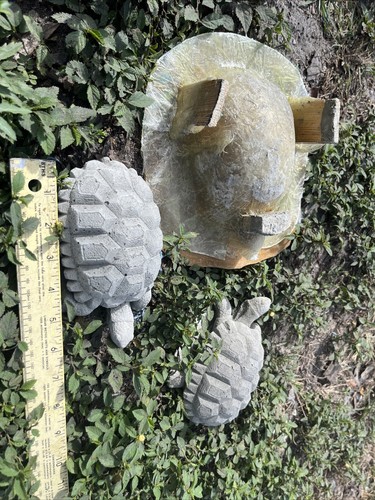Used Latex/fiberglass Mold. Make Concrete Or Plaster 6.5โ Box Turtle ๐ข - Picture 17 of 17