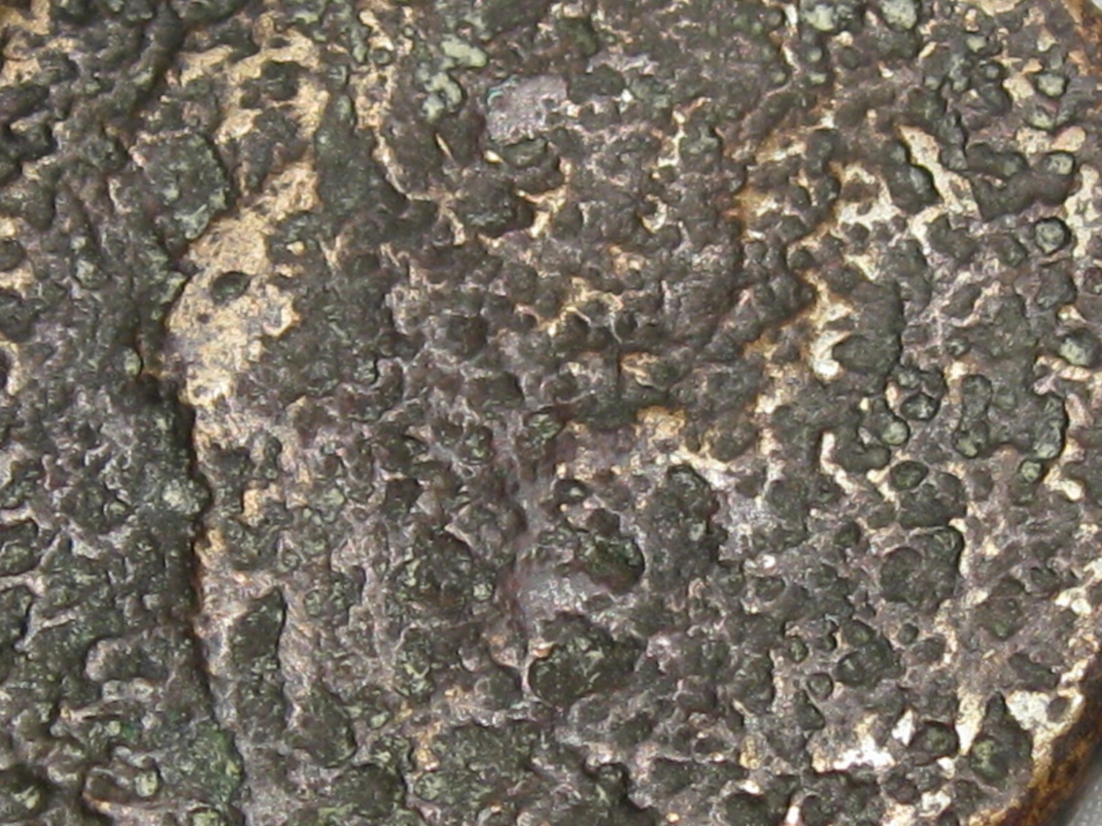 Picture 4 of 6