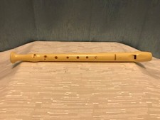 Hohner Melody Line Student Youth Plastic Recorder 9509 GERMANY